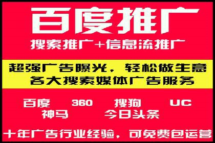 行业领先企业的SEM服务托管策略案例